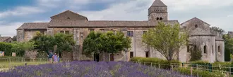Exploring Saint-Rémy-de-Provence: Best Activities and Sights