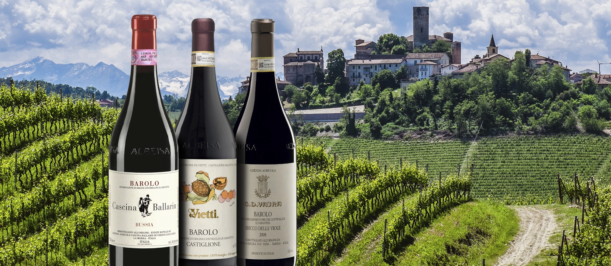 Try exquisite wine in Barolo, Italy