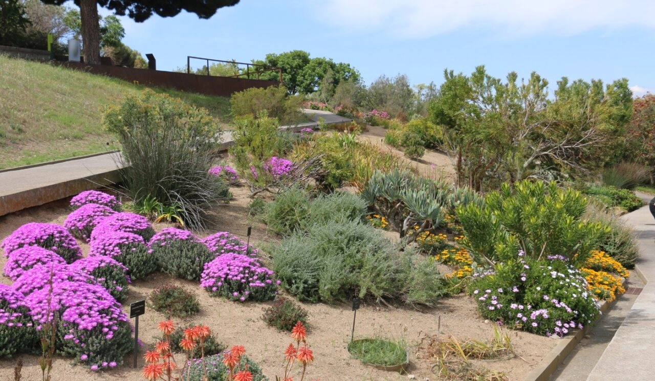 In the Botanical Garden, this amazing free place to visit in Barcelona, you can have a beautiful photoshoot