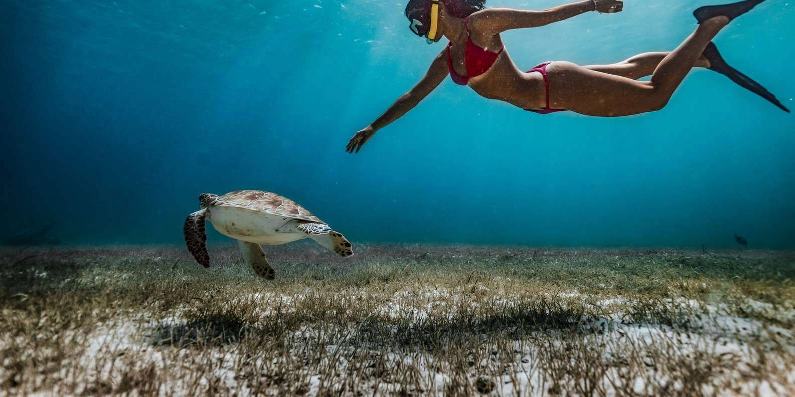 Include snorkelling to the list of things to do in Costa Maya