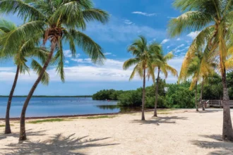 7 Best Beaches in Key Largo and Nearby That Are Actually Worth Your Time
